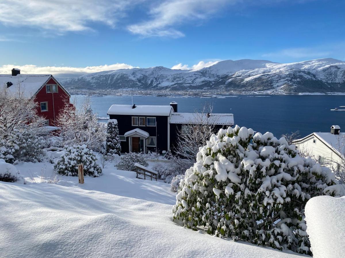 Great Place With View To The Mountains And Fjord Ålesund Exterior foto